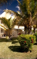 2_star_hotel_klondike_hotel_garden_view_with_palm_trees.jpg