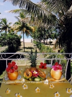 bed_and_breakfast_noix_de_coco_mauritius_balcony_view.jpg