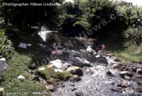mauritius_old_time_photo_woman_washing_clothes_in_the_river.jpg
