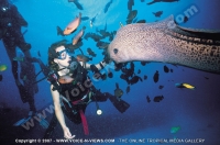 paradis_hotel_mauritius_diving.jpg