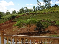 guest_house_les_palmiers_chamarel_mauritius_view_from_balcony.jpg