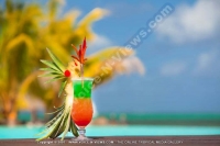 laguna_beach_hotel_and_spa_mauritius_cocktail.jpg