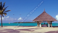 Filename=wedding_gazebo_mauritius_south_coast_preskil_beach_resort.jpg
Filesize=92KiB
Dimensions=800x466
Date added=Aug 10, 2010 wedding_gazebo_mauritius_south_coast_preskil_beach_resort.jpg