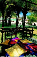 4_star_hotel_paradise_cove_hotel_garden.jpg