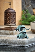 maradiva_villas_resort_and_spa_hotel_mauritius_frogs.jpg