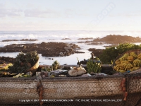 5_star_hotel_shanti_maurice_beach_landscape.jpg