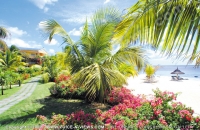 Filename=le_victoria_hotel_mauritius_garden_view.jpg
Filesize=236KiB
Dimensions=760x495
Date added=Sep 23, 2008 le_victoria_hotel_mauritius_garden_view.jpg
