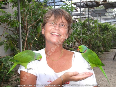 woman and parakeet mauritius
