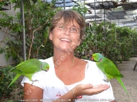 woman_and_parakeet_mauritius.jpg