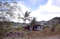 Filename=house_in_the_middle_of_sugar_cane_field_in_fron_of_mountain_range_mauritius.jpg
Filesize=104KiB
Dimensions=640x413
Date added=Mar 10, 2010 house_in_the_middle_of_sugar_cane_field_in_fron_of_mountain_range_mauritius.jpg