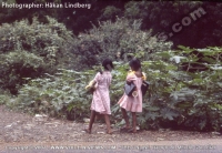 young_girls_going_to_school_in_mauritius_in_the_year_1977.jpg