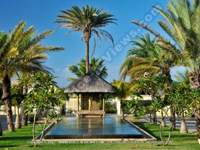 general view of the garden of premium villa pereybere mauritius ref 16
