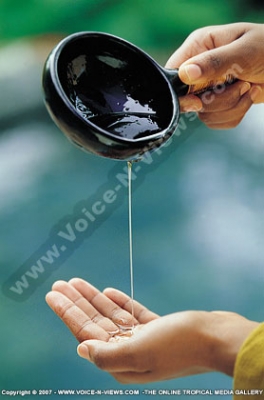 royal palm hotel mauritius spa massage oil
