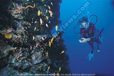 shandrani resort and spa hotel mauritius diving view
