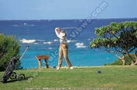 Filename=shandrani_resort_and_spa_hotel_mauritius_golfer.jpg
Filesize=128KiB
Dimensions=760x498
Date added=Sep 16, 2008 shandrani_resort_and_spa_hotel_mauritius_golfer.jpg