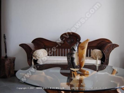 172 royal ho african style general view of the sofa bed
