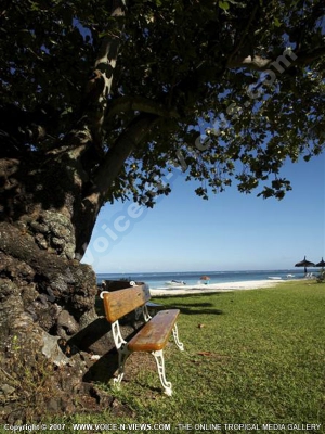 standard beach apartment trou aux biches mauritius ref 115 garden and beach view
