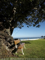 Filename=standard_beach_apartment_trou_aux_biches_mauritius_ref_115_garden_and_beach_view.jpg
Filesize=151KiB
Dimensions=600x800
Date added=Aug 04, 2010 standard_beach_apartment_trou_aux_biches_mauritius_ref_115_garden_and_beach_view.jpg
