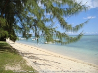 wedding_of_leena_and_sebastien_mauritius_seaside_view.jpg